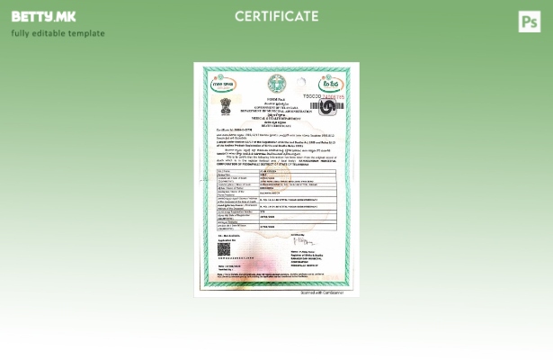 модерен стил Индија Одделот за општинска администрација на Телангана шаблон за п